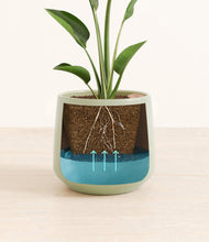 Load image into Gallery viewer, Turquoise