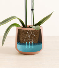 Load image into Gallery viewer, Calm Rose