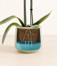 Load image into Gallery viewer, Turquoise