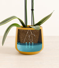 Load image into Gallery viewer, Mustard