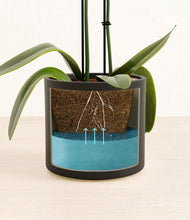 Load image into Gallery viewer, Black