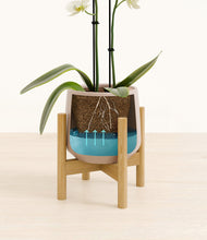 Load image into Gallery viewer, Eternal Gray stand:bamboo