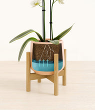 Load image into Gallery viewer, Gentle Pink stand:bamboo