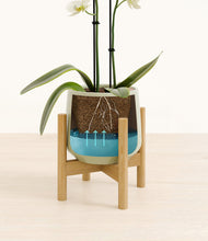 Load image into Gallery viewer, Turquoise stand:bamboo