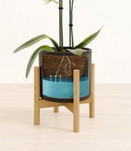 Load image into Gallery viewer, Black stand:bamboo