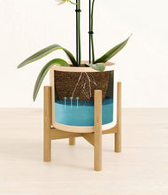 Load image into Gallery viewer, Cream stand:bamboo