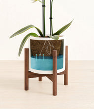 Load image into Gallery viewer, White stand:walnut