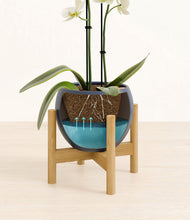 Load image into Gallery viewer, Deep Navy stand:bamboo