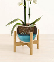 Load image into Gallery viewer, Shiny EggWhite stand:bamboo