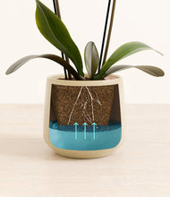 Load image into Gallery viewer, Almond Green