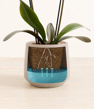 Load image into Gallery viewer, Eternal Gray