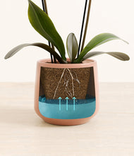 Load image into Gallery viewer, Calm Rose