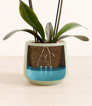 Load image into Gallery viewer, Turquoise