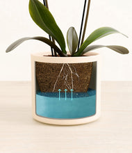 Load image into Gallery viewer, Cream