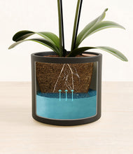 Load image into Gallery viewer, Black