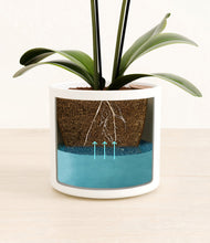 Load image into Gallery viewer, White