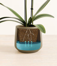 Load image into Gallery viewer, Olive