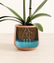 Load image into Gallery viewer, Calm Rose