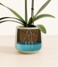 Load image into Gallery viewer, Turquoise