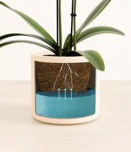 Load image into Gallery viewer, Cream