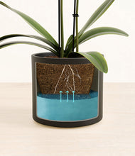 Load image into Gallery viewer, Black