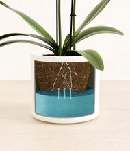 Load image into Gallery viewer, White