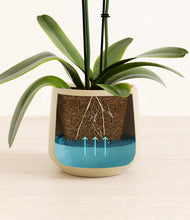 Load image into Gallery viewer, Almond Green