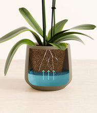 Load image into Gallery viewer, Olive