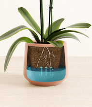 Load image into Gallery viewer, Calm Rose