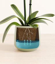 Load image into Gallery viewer, Turquoise