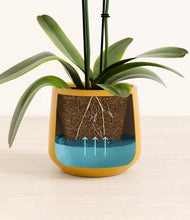 Load image into Gallery viewer, Mustard