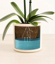 Load image into Gallery viewer, Cream