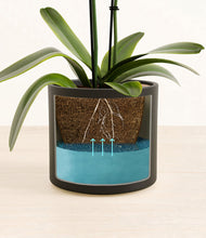 Load image into Gallery viewer, Black