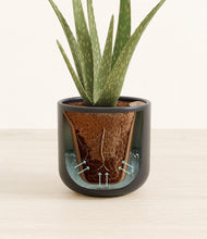 Load image into Gallery viewer, Stone Black stand:all