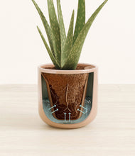 Load image into Gallery viewer, Glossy Pink stand:all