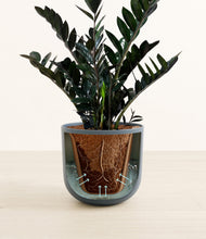 Lade das Bild in den Galerie-Viewer, Iron Gray stand:all