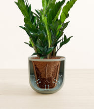 Load image into Gallery viewer, Sage Green stand:all