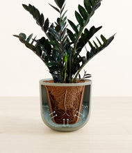 Lade das Bild in den Galerie-Viewer, Sage Green stand:all