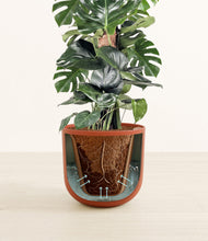 Lade das Bild in den Galerie-Viewer, Earth Red stand:all
