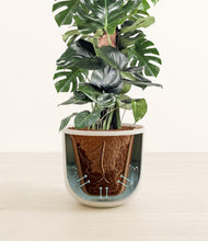 Lade das Bild in den Galerie-Viewer, Natural Bamboo stand:all