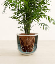 Load image into Gallery viewer, Natural Bamboo stand:all