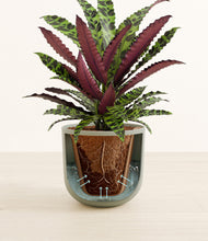 Load image into Gallery viewer, Sage Green stand:all