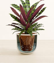 Load image into Gallery viewer, Natural Bamboo stand:all