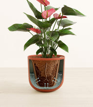 Load image into Gallery viewer, Earth Red stand:all