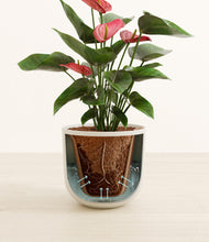 Load image into Gallery viewer, Natural Bamboo stand:all