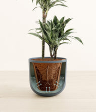 Load image into Gallery viewer, Iron Gray stand:all