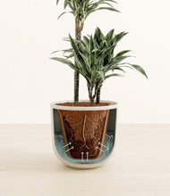 Load image into Gallery viewer, Natural Bamboo stand:all