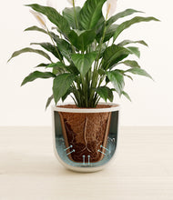 Load image into Gallery viewer, Natural Bamboo stand:all