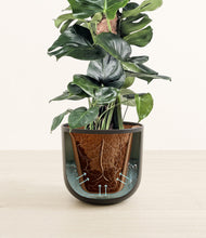 Lade das Bild in den Galerie-Viewer, Stone Black stand:all