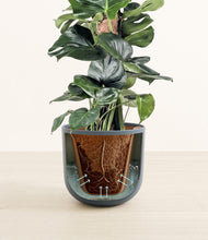 Lade das Bild in den Galerie-Viewer, Iron Gray stand:all